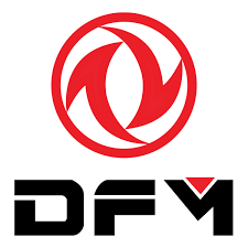 DFM